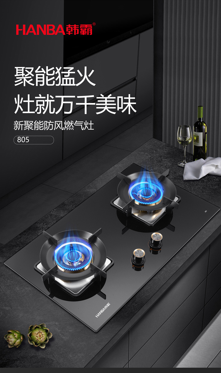 805燃?xì)庠町a(chǎn)品詳情頁_01.jpg